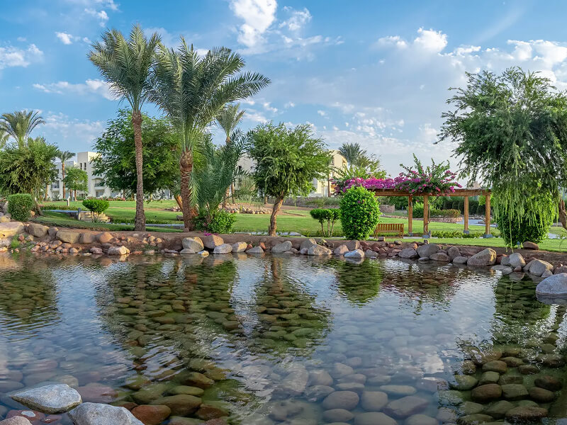 Aurora Oriental Resort, photo 3 of 11