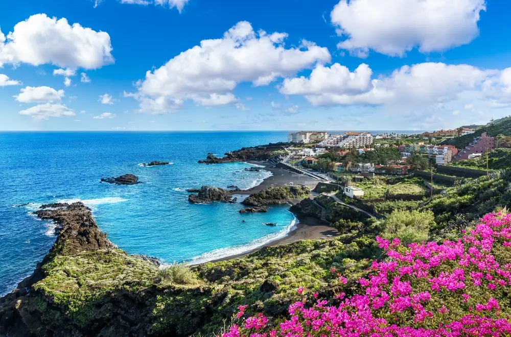 Canary Islands & Geminid Meteor Shower