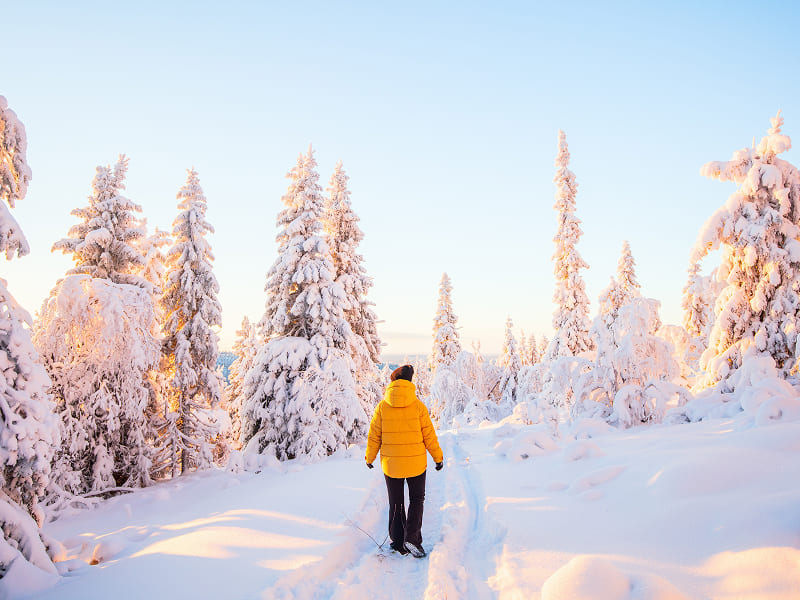 The Lapland Experience!, photo 3 of 6