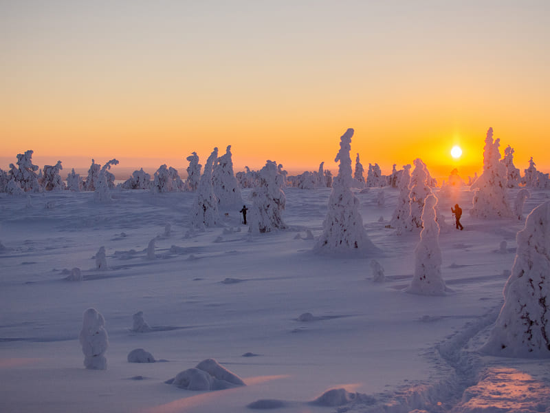 The Lapland Experience!, photo 6 of 6