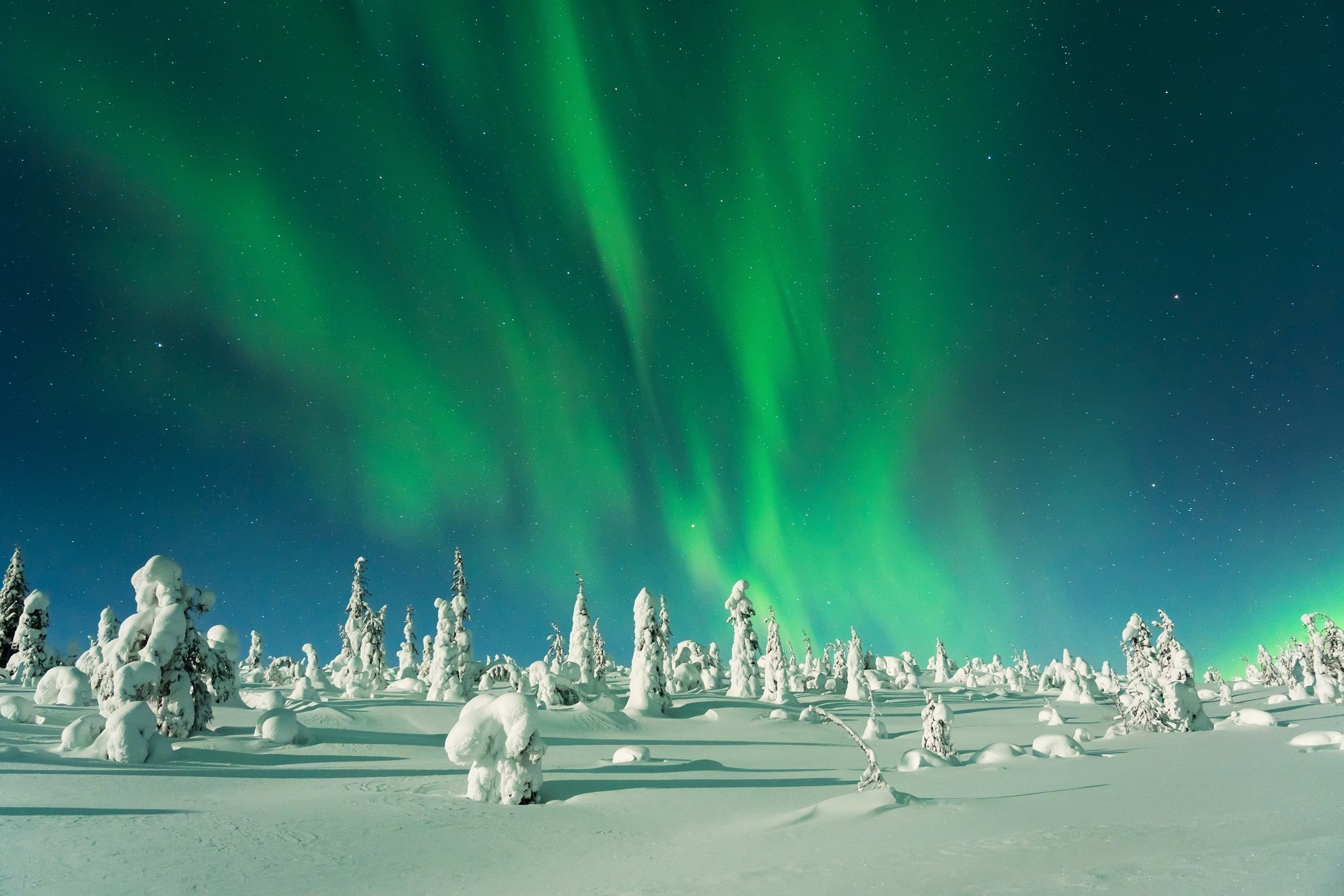 Winter Wonderland Lapland Day Trip, photo 2 of 8