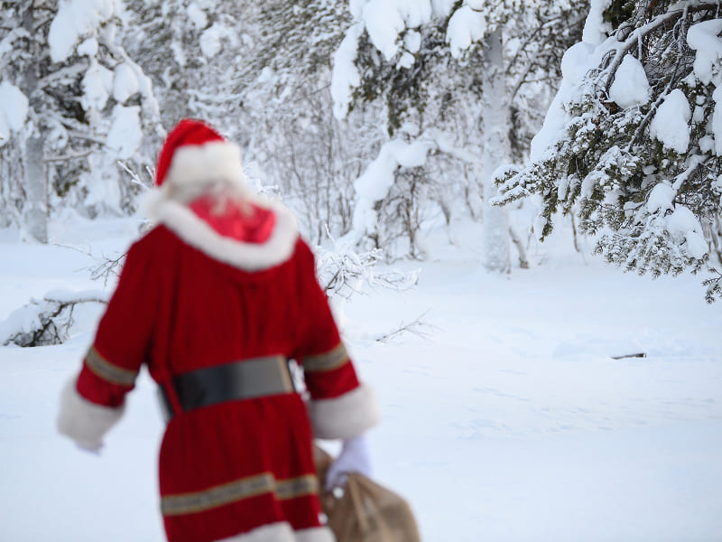Winter Wonderland Lapland Day Trip, photo 3 of 8