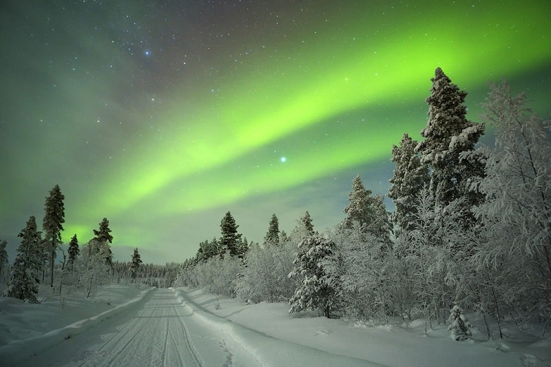 Winter Wonderland Lapland Day Trip, photo 6 of 8